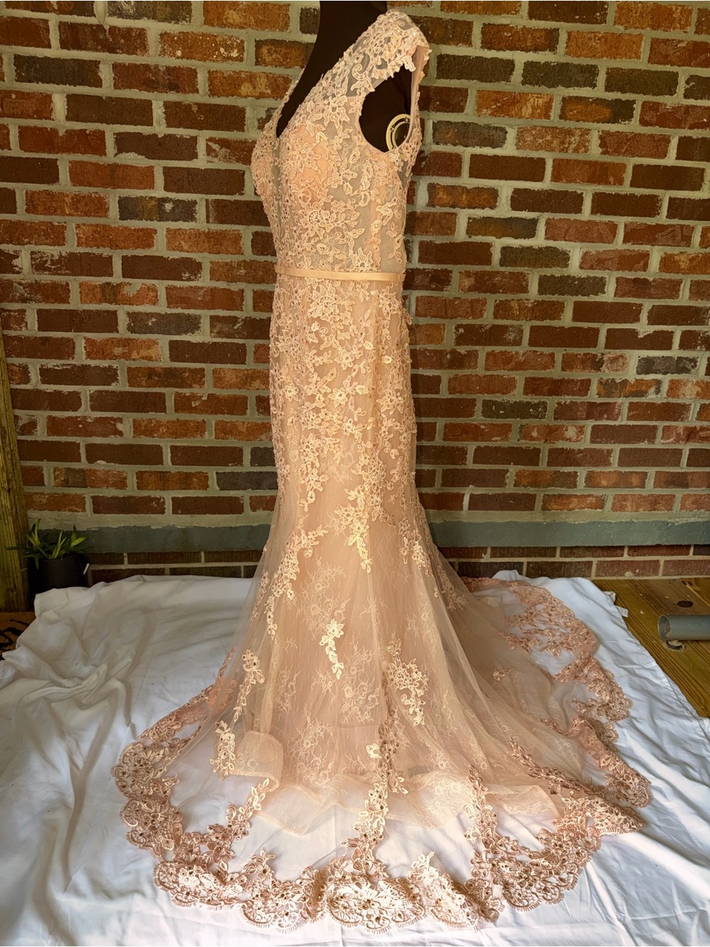 Sleeveless V-Neck Lace Prom Dress in Blush Pink
